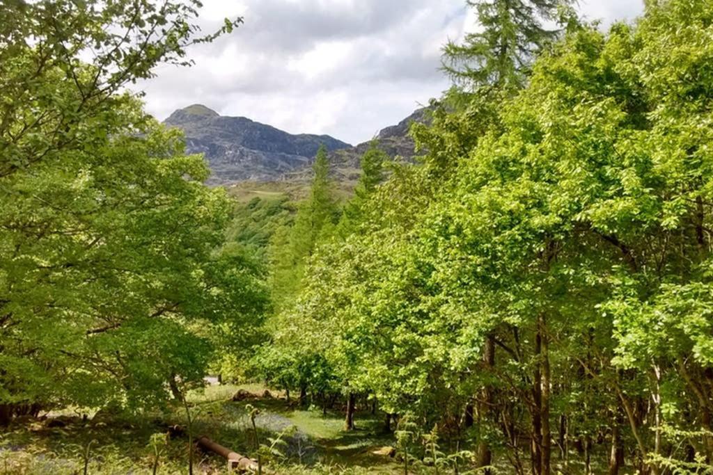 Ty Hen - Quirky Grade II Listed Cottage ブライナイ・フェスティニオグ エクステリア 写真
