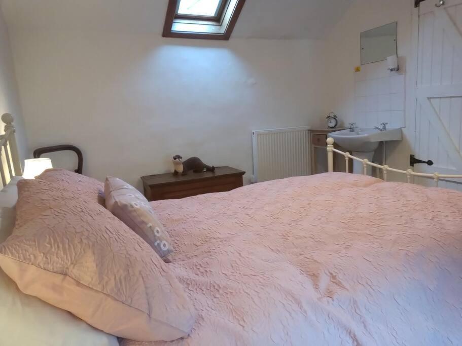 Ty Hen - Quirky Grade II Listed Cottage ブライナイ・フェスティニオグ エクステリア 写真