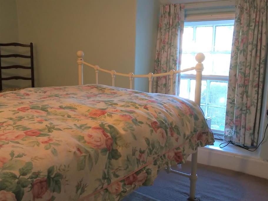 Ty Hen - Quirky Grade II Listed Cottage ブライナイ・フェスティニオグ エクステリア 写真