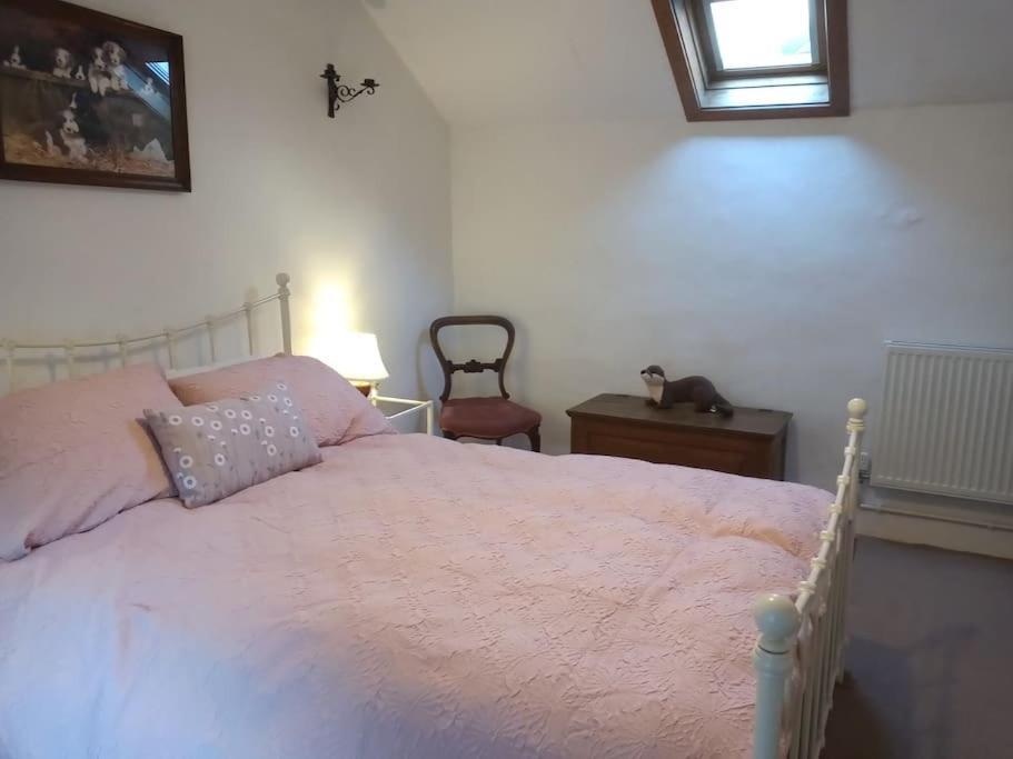 Ty Hen - Quirky Grade II Listed Cottage ブライナイ・フェスティニオグ エクステリア 写真