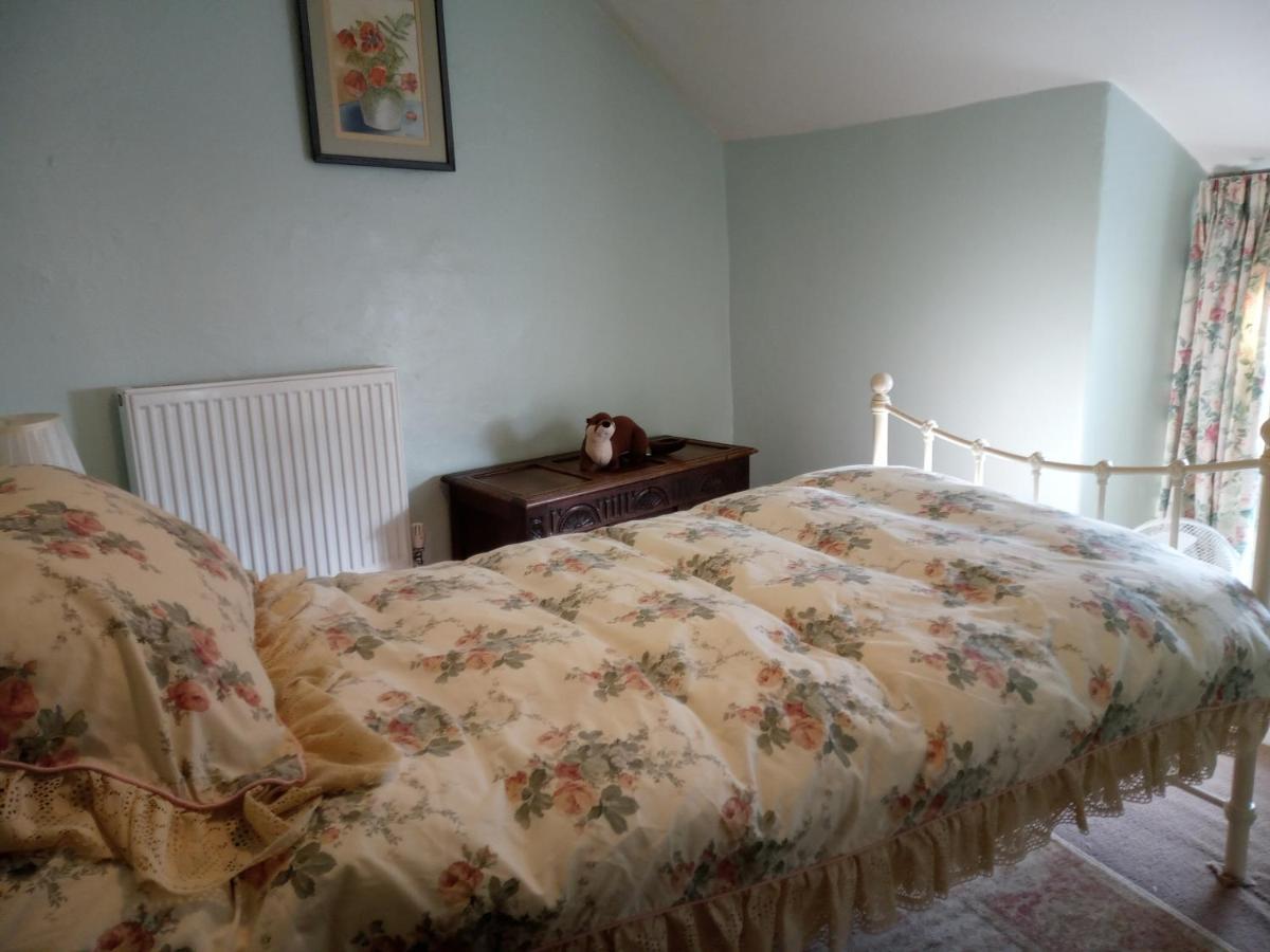 Ty Hen - Quirky Grade II Listed Cottage ブライナイ・フェスティニオグ エクステリア 写真